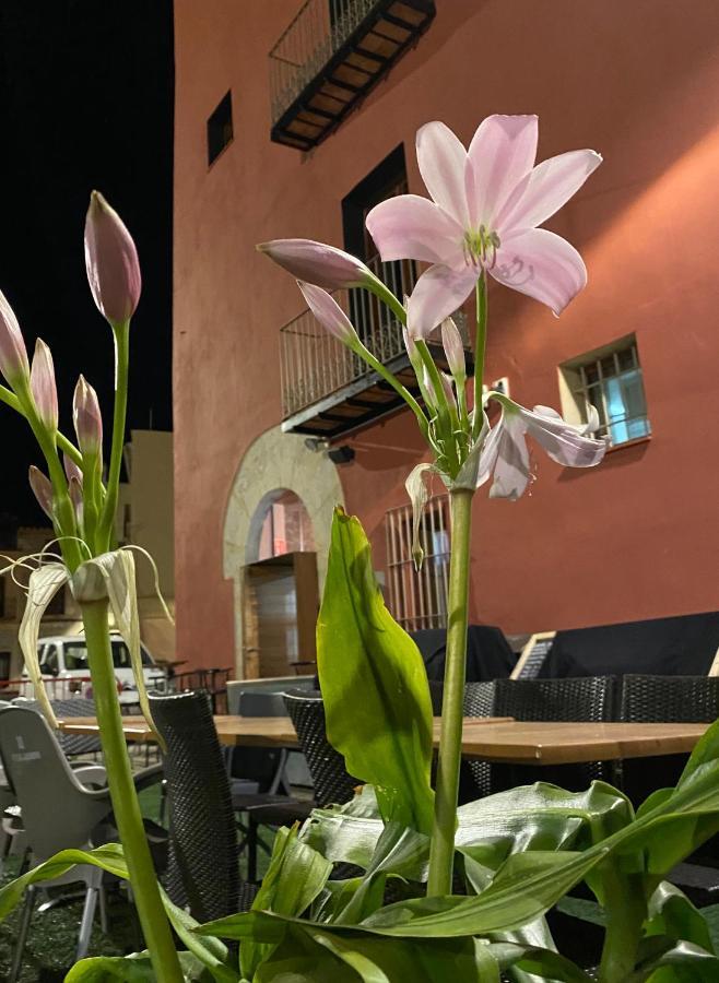 Restaurant & Rooms Cabrit Sant Mateu Exterior photo